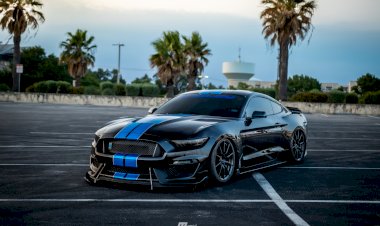 Jaylen Dawn - 2017 Shelby Mustang GT350