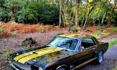 Steve Pattenden - 1965 Ford Mustang Coupe