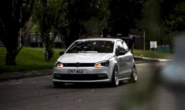 Will Adams - Polo 6R