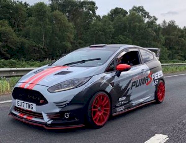Waynes - Fiesta ST200