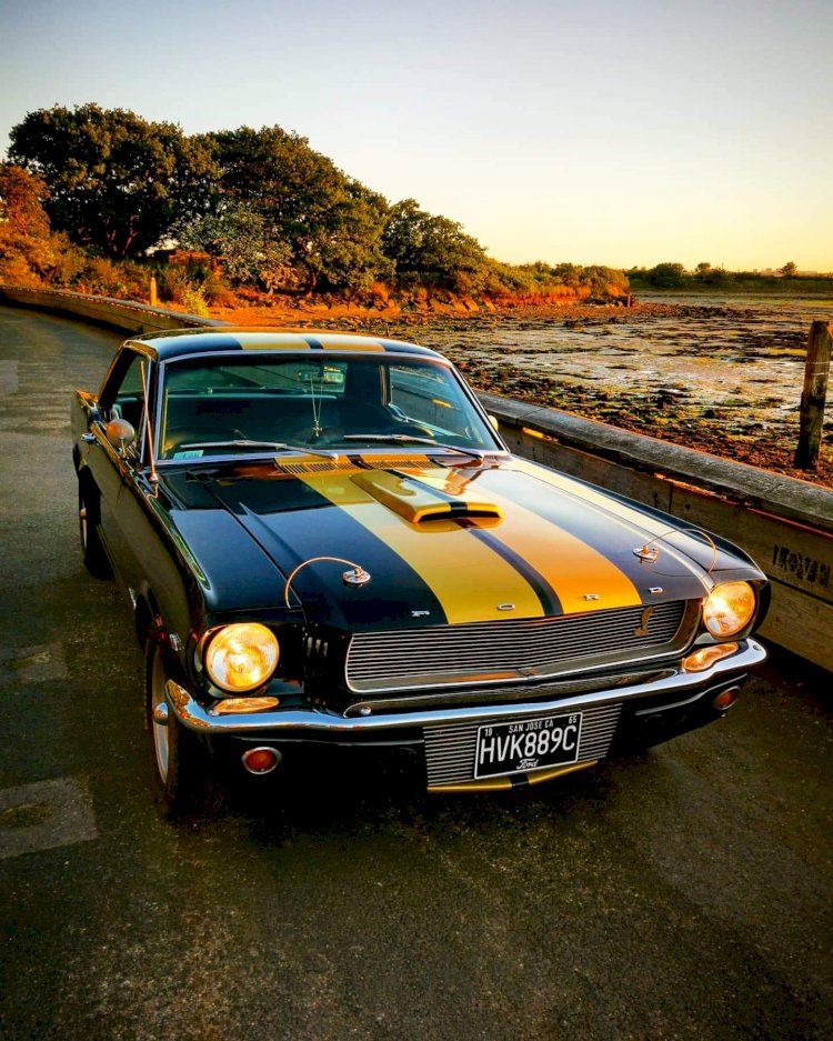 Steve Pattenden - 1965 Ford Mustang Coupe