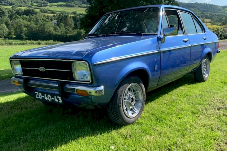 Georgina Whipp - MK2 Escort
