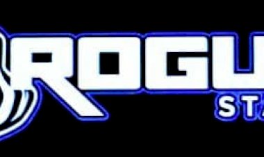Welcome to Rogue Static