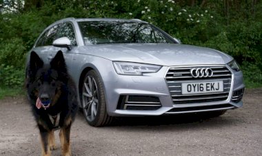 Matthew (Matt) Temprell - Audi A4 B9 Avant