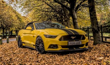 Shaun Black - 2016 Mustang  GT 5.0 v8