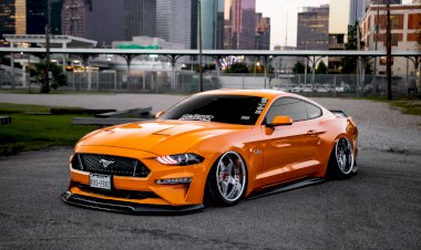 Alejandro Bahena  - 2018 Stanced Mustang GT