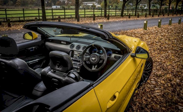 Shaun Black - 2016 Mustang  GT 5.0 v8 