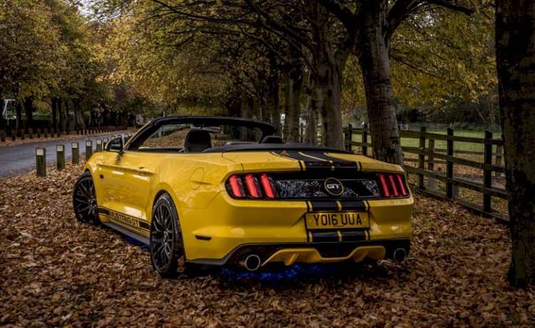 Shaun Black - 2016 Mustang  GT 5.0 v8 