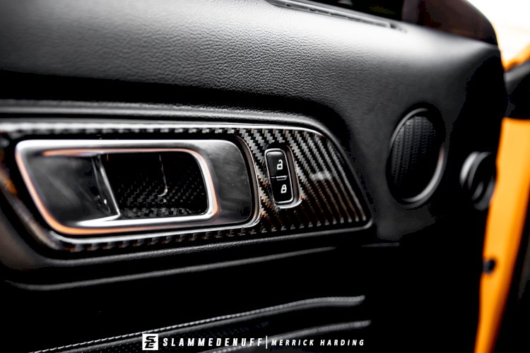 Alejandro Bahena  - 2018 Stanced Mustang GT