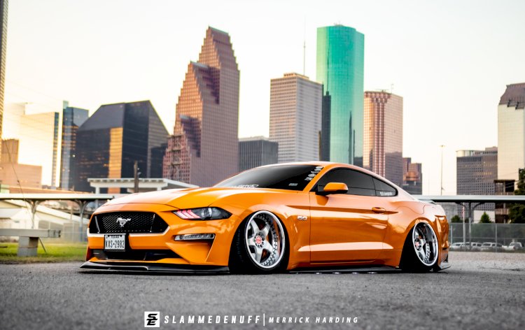Alejandro Bahena  - 2018 Stanced Mustang GT