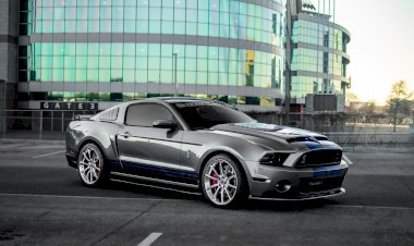 Fred Alvarado - 2014 Shelby "THUNDER" GT 500