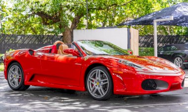 European Auto Group's Manual Conversions Bring Great Value