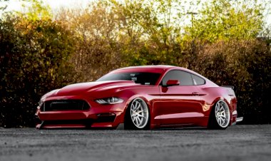 Austin Tague - 2019 Eco Boost Mustang