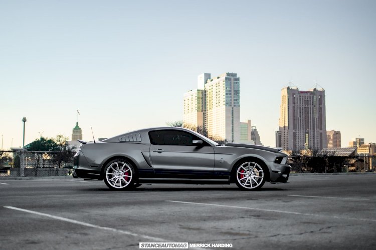 Fred Alvarado - 2014 Shelby "THUNDER" GT 500 