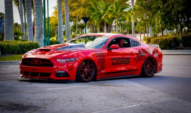 Diego Navarro - 2015 ford mustang 50-year edition