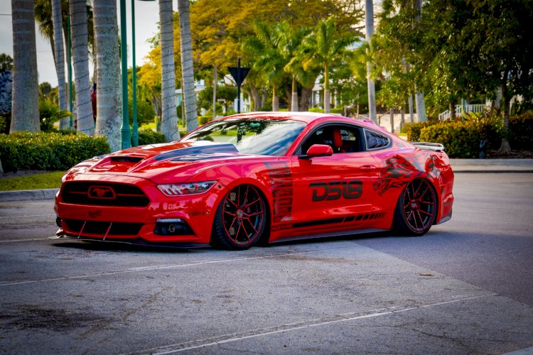 Diego Navarro - 2015 ford mustang 50-year edition