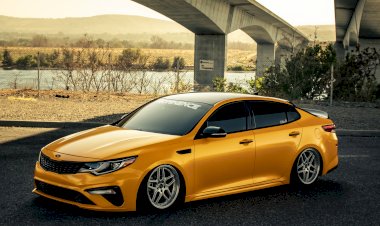 Brandon Cox  2019 Kia optima