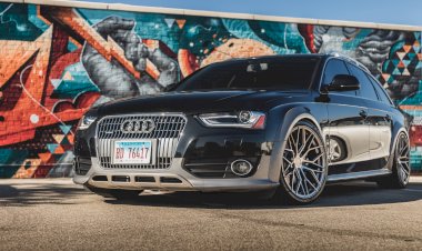 Kassy McHugh  2014 Audi Allroad Premium Plus