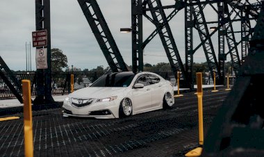 Macho - 2015 Acura tlx