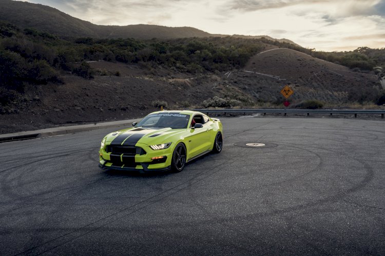 2016 Ford Mustang GT California Special - Omar Martinez