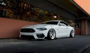 2021 Bagged Mustang 5.0 - Mark Fitzgerald