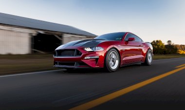 2019 Ford Mustang GT - Pete Schafer