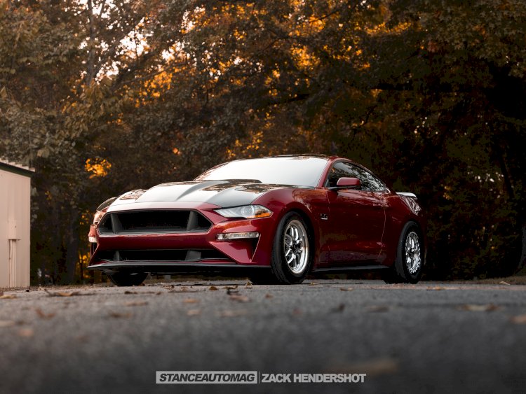 2019 Ford Mustang GT - Pete Schafer