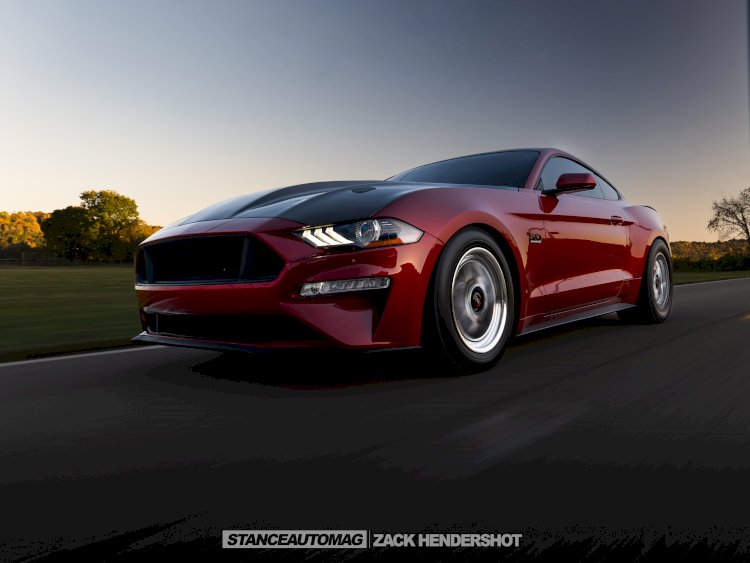 2019 Ford Mustang GT - Pete Schafer