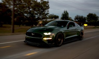2022 Ford Mustang S550 - Clive Hendricks