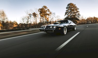 1981 Pontiac Firebird Formula - Scott Sauvager