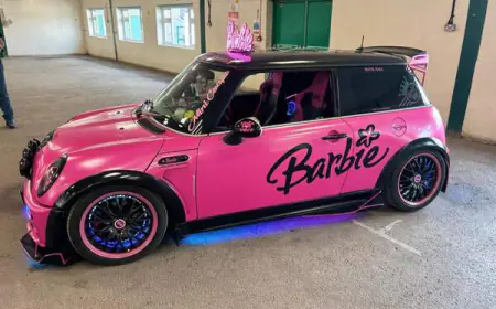 Elouise Victoria Wisdoms Stunning Pink Barbie Themed Mini Cooper R50
