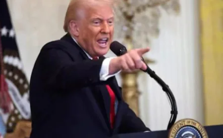 Trump Tariffs: Impact on Foreign Cars & Builders