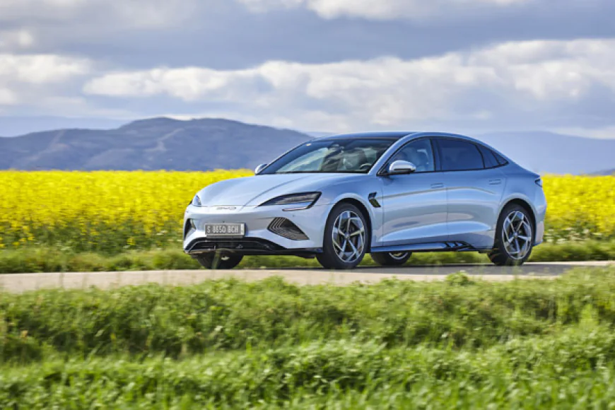 The Rise of BYD: Tesla’s Rival Shaping the EV Future