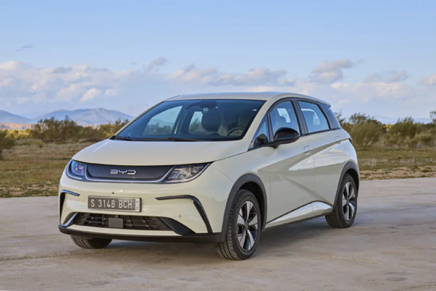 The Rise of BYD: Tesla’s Rival Shaping the EV Future