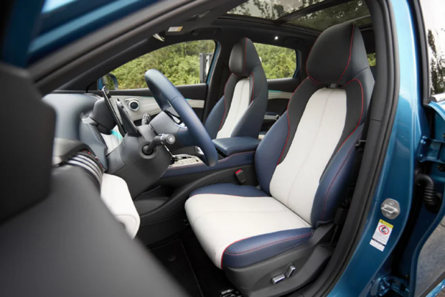 The Rise of BYD: Tesla’s Rival Shaping the EV Future