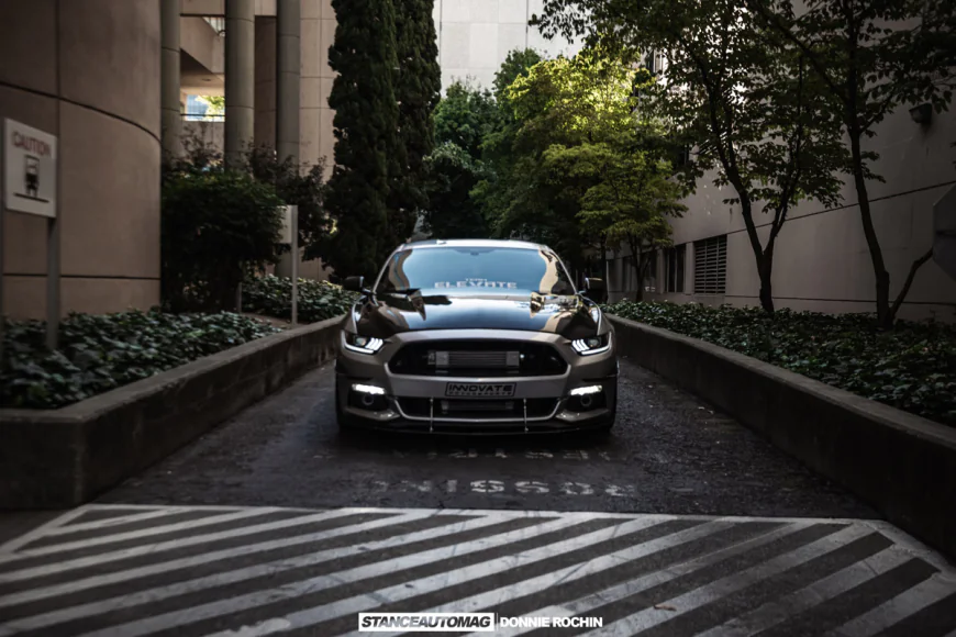 2017 Ford Mustang GT Build: ProCharged ElevatedStang