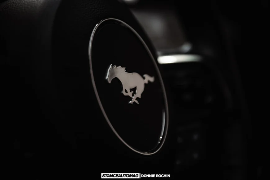 2017 Ford Mustang GT Build: ProCharged ElevatedStang