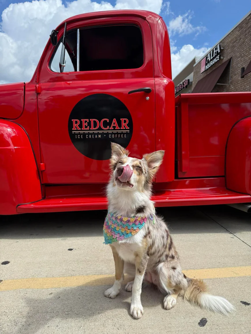 1952 Ford F1 Daily Driver Hot Rod with Ice Cream Cone RedCar Creamery