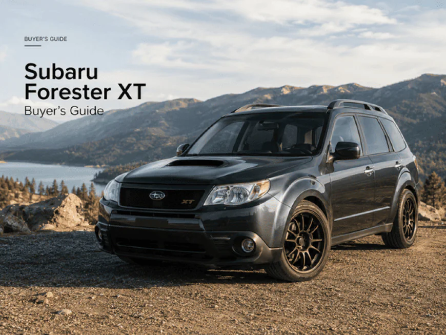 Subaru Forester XT Buyer's Guide
